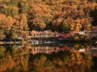 四尾連湖の紅葉の写真３