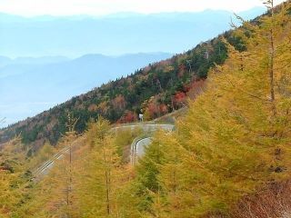 富士山スカイライン及び遊歩道（富士山自然休養林）の紅葉写真１