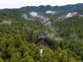 遠江国一宮 小國神社の紅葉の写真３