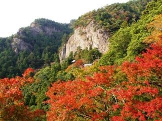 鳳来寺山の紅葉写真１