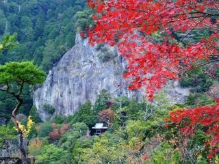 鳳来寺山の紅葉の写真３