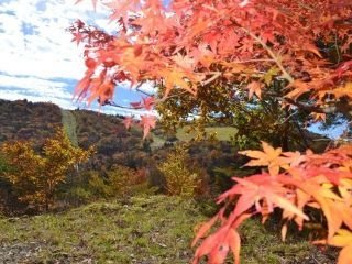 茶臼山高原の紅葉写真１