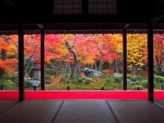 圓光寺の紅葉写真１