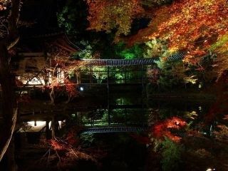 高台寺の紅葉写真２