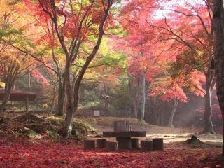 笠置山自然公園の紅葉写真１