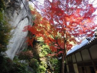 笠置山自然公園の紅葉の写真３