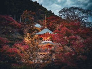 勝尾寺の紅葉写真１