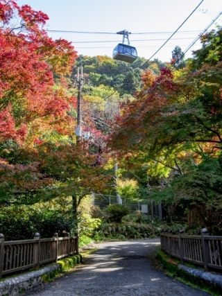 六甲山の紅葉の写真３