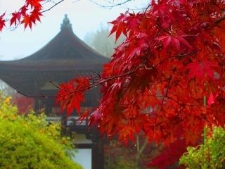 長岳寺の紅葉写真１