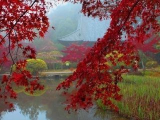 長岳寺の紅葉の写真３