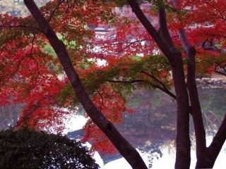 長岳寺の紅葉の写真４