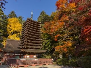 談山神社の紅葉写真１
