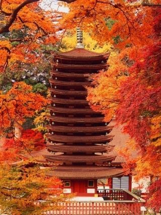 談山神社の紅葉の写真３