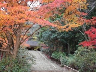 室生寺の紅葉写真１