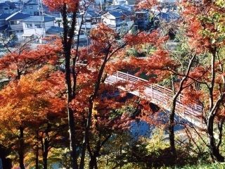 竜田川の紅葉写真１