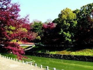 竜田川の紅葉の写真３