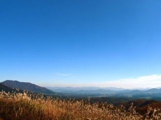 蒜山大山スカイラインの紅葉の写真３