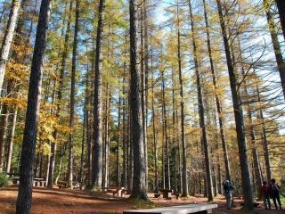 岡山県立森林公園の紅葉の写真４