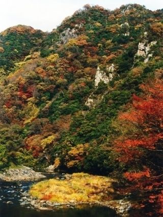 宇甘渓の紅葉写真２