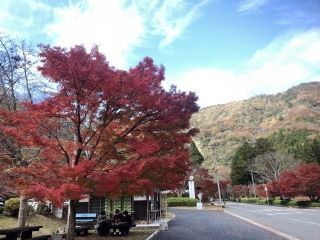 宇甘渓の紅葉の写真３
