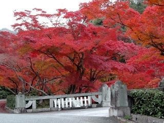 毛利氏庭園の紅葉の写真３