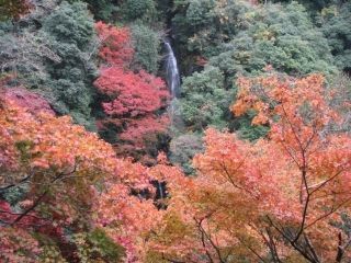 白滝公園の紅葉写真１