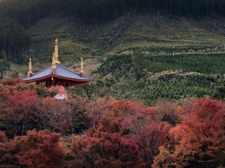 呑山観音寺の紅葉の写真３