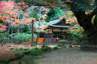 上賀茂神社の紅葉写真２