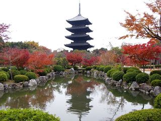 東寺の紅葉写真１