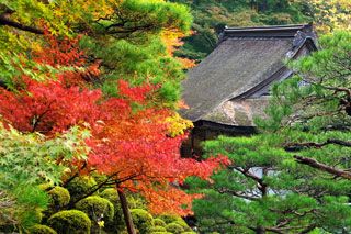 百済寺（湖東三山）の紅葉写真１