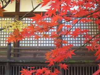 本土寺の紅葉写真２