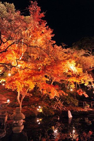 鎌倉 長谷寺の紅葉写真１