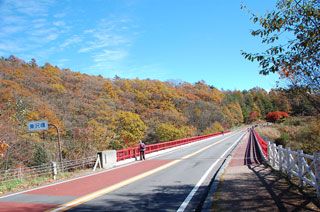 八ヶ岳高原の紅葉の写真３