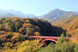 八ヶ岳高原の紅葉写真１