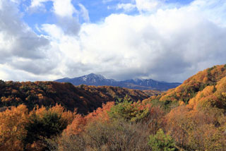 八ヶ岳高原の紅葉写真２
