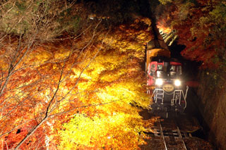 嵯峨野トロッコ列車の紅葉写真２