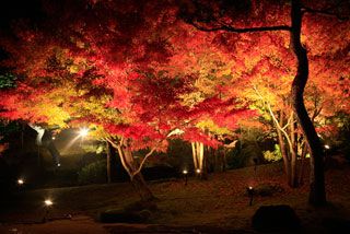 日本庭園 由志園の紅葉写真１