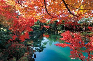 日本庭園 由志園の紅葉の写真３