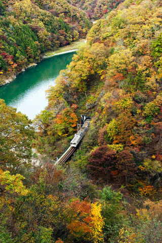 JR飯田線 天龍峡の紅葉写真１