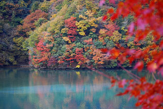 JR飯田線 天龍峡の紅葉の写真３