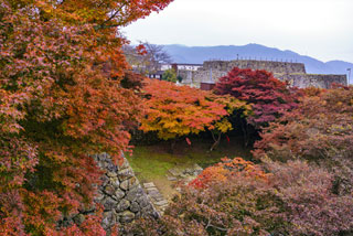 津山城（鶴山公園）の紅葉写真１