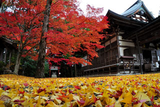 木山寺の紅葉写真２
