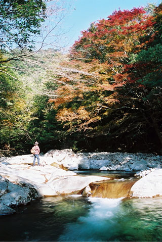 尾鈴山瀑布群の紅葉写真１