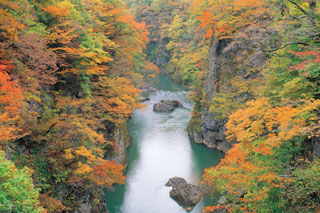梵字川渓谷の紅葉写真１