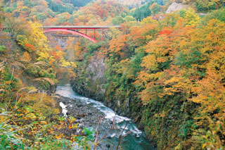 梵字川渓谷の紅葉写真２