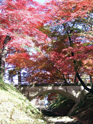 赤湯烏帽子山公園の紅葉写真１