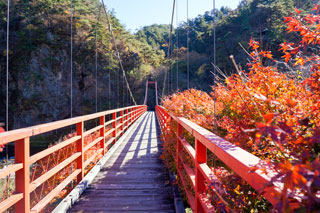 矢祭山公園の紅葉写真２