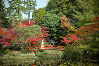 大原野神社の紅葉写真２