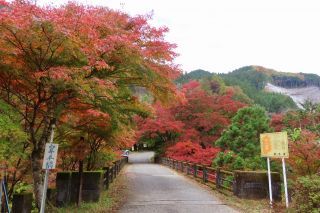 大芦渓谷の紅葉写真１