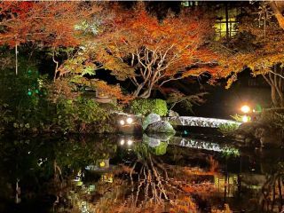 池田山公園の紅葉写真１